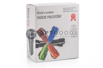 Мини-видеокамера/диктофон Mini Dv World Smallest Voice Recorder  оптом