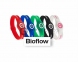 Bioflow Sport (магнитный энергетический браслет)   оптом