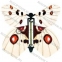 Летающая бабочка (Magic Flyer) - сюрприз    оптом